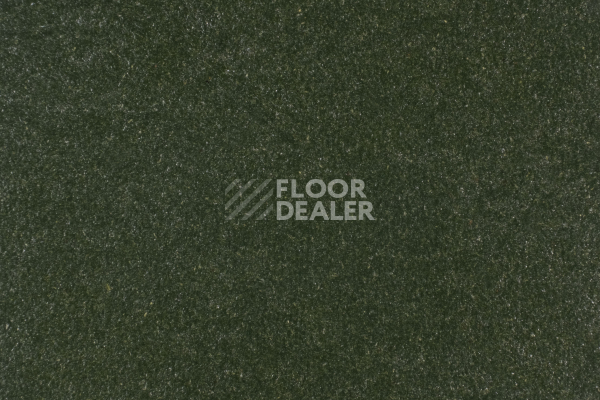 Линолеум Forbo Marmoleum Solid Walton 3359-335935 bottle green фото 1 | FLOORDEALER