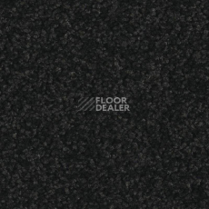 Ковролин Balsan Serenite 990 фото 1 | FLOORDEALER