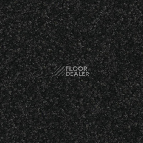 Ковролин Balsan Serenite 990 фото 1 | FLOORDEALER