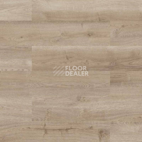 Пробковое покрытие Wood Go LJUY001  Oak Light Nature фото 1 | FLOORDEALER