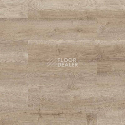Пробковое покрытие Wood Go LJUY001  Oak Light Nature фото 1 | FLOORDEALER