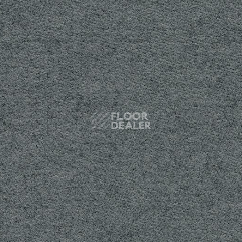 Ковролин Forbo Flotex wonderlab 07 900262 Slate фото 1 | FLOORDEALER