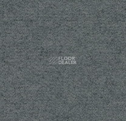 Ковролин Forbo Flotex wonderlab 07 900262 Slate фото 1 | FLOORDEALER