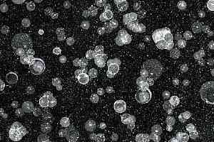 Ковролин Forbo Flotex Vision Pattern 001590 Starwalk Black фото  | FLOORDEALER