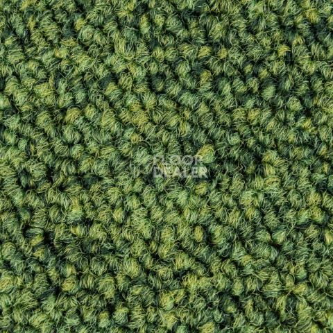 Escom Object 64073 фото 2 | FLOORDEALER