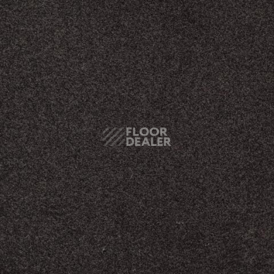 Ковролин Gleam W2W 866 Gleam w2w фото 1 | FLOORDEALER