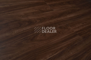 Evofloor Optima Click 4.2мм Орех Американский фото 4 | FLOORDEALER