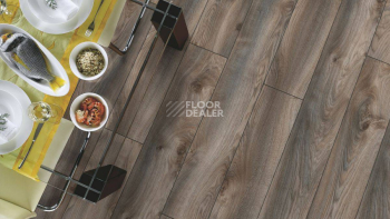 Kronotex Mammut Plus d4792 Дуб Серый Макро фото 4 | FLOORDEALER