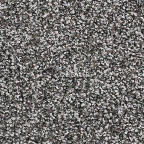Ковролин Balsan Script 760 фото 1 | FLOORDEALER