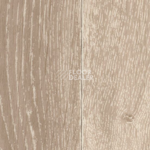 Линолеум Gerflor Taralay Initial Compact (wood) 0588 Noma Clair фото 1 | FLOORDEALER