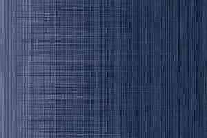 Ковролин Forbo Flotex by Starck Twilight 332017 Twilight Sapphire / Titan Blue c2 фото  | FLOORDEALER