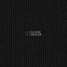 Ковролин Edel Gloss 199 фото 1 | FLOORDEALER