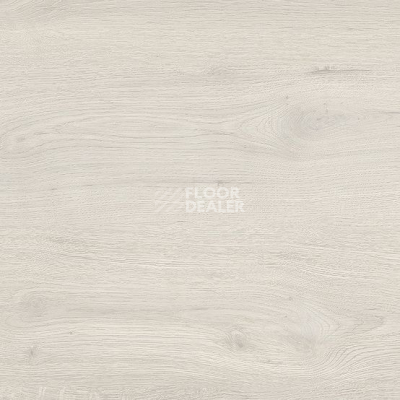 Линолеум Gerflor Taralay Initial Compact (wood) 0979 Twist White фото 1 | FLOORDEALER