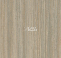 Линолеум Forbo Marmoleum Striato 5253 bleached gold фото 1 | FLOORDEALER