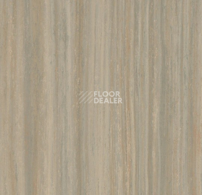 Линолеум Forbo Marmoleum Striato 5253 bleached gold фото 1 | FLOORDEALER