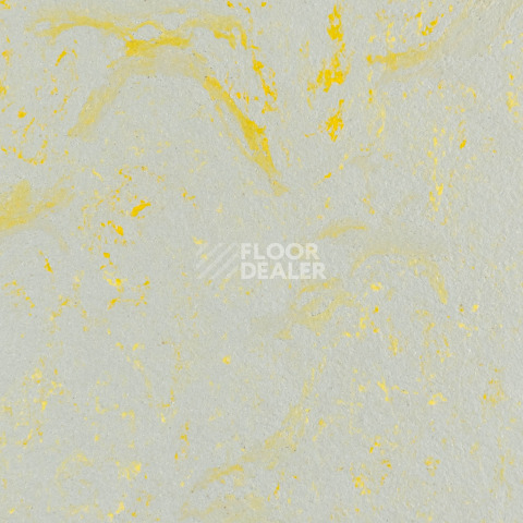 Линолеум Forbo Marmoleum Solid Concrete 3733-373335 yellow shimmer фото 1 | FLOORDEALER