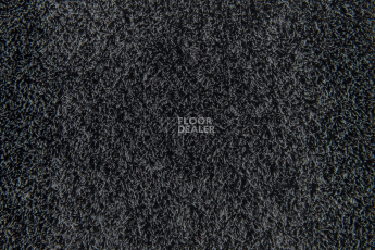 Forbo Flotex Colour s 290010 Calgary Ash фото 2 | FLOORDEALER