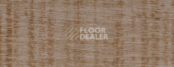 Плинтус Dollken EP 60/13 2608 фото 2 | FLOORDEALER