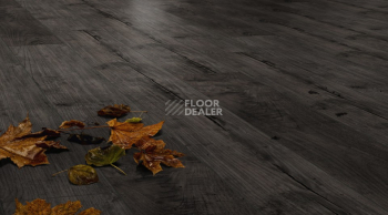 Kronotex Exquisit 8мм d4171 Тик Ностальгия Графит фото 3 | FLOORDEALER