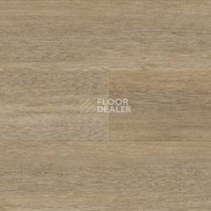 Линолеум Polyflor Expona Wood 6179 фото 1 | FLOORDEALER