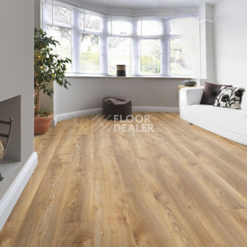 Kronotex Mammut Plus d4794 Дуб Натуральный Макро фото 5 | FLOORDEALER