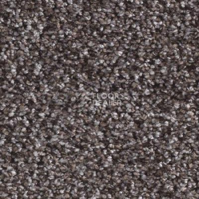 Ковролин Balsan Feelings 670 фото 1 | FLOORDEALER