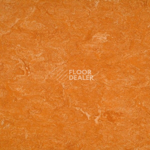 Линолеум Gerflor Marmorette DLW 2.5mm 121-073 фото 1 | FLOORDEALER