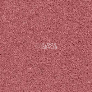 Ковролин Radici Montecarlo 8 фото 1 | FLOORDEALER