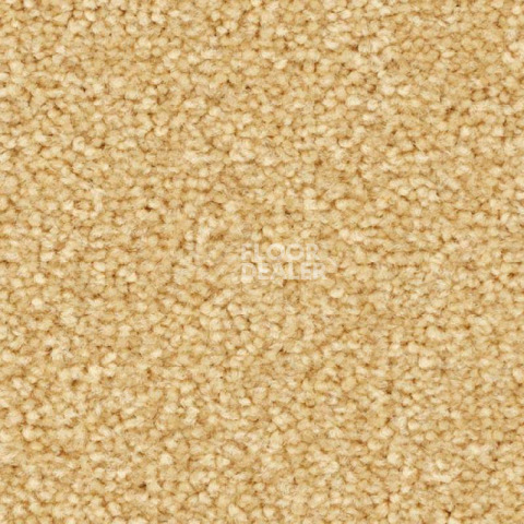 Ковролин Balsan First Class 310 фото 1 | FLOORDEALER