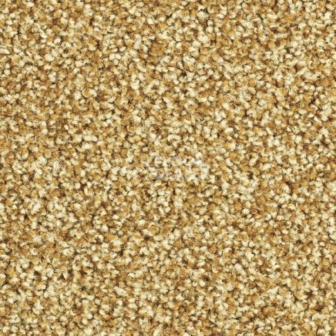 Ковролин Balsan Script 380 фото 1 | FLOORDEALER