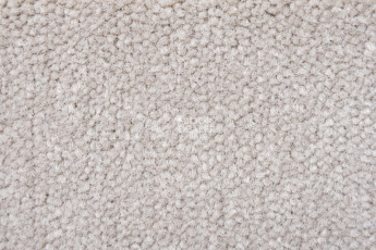 Ковролин AW Prima AW Prima 35 фото 1 | FLOORDEALER