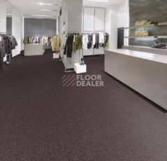 Forbo Tessera Basis 364 Brown фото 2 | FLOORDEALER