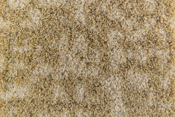 Forbo Flotex Colour Metro 5050 t 546012 Metro Sand фото 3 | FLOORDEALER