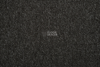 Standard Carpets Romeo Park 573 фото 2 | FLOORDEALER