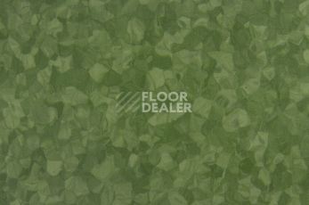 Tarkett iq Melodia 2639 фото 3 | FLOORDEALER
