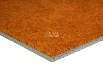 Forbo Flotex Colour Calgary 50*50 t 590024 Calgary Fire фото 3 | FLOORDEALER