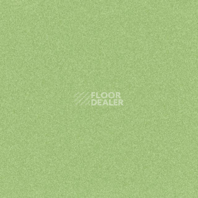 Линолеум Tarkett iq Melodia 2621 фото 1 | FLOORDEALER