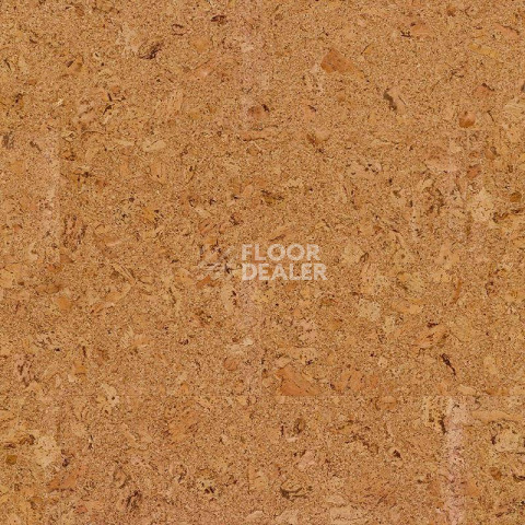 Пробковое покрытие Cork Pure Go AJ8E002 Originals Shell фото 1 | FLOORDEALER