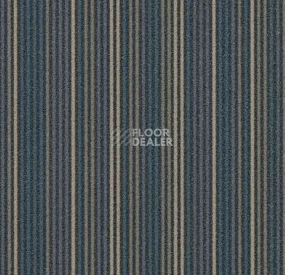Ковровая плитка Forbo Flotex Complexity t 550001 / t 553001 Complexity Grey фото 1 | FLOORDEALER