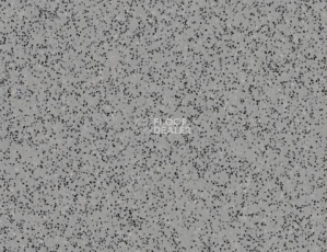 Линолеум Polyflor Polysafe Standard Pur 4020 фото 1 | FLOORDEALER