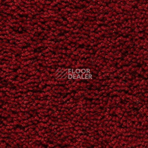 Ковролин Best Wool Pure Palace Lux 116 фото 1 | FLOORDEALER
