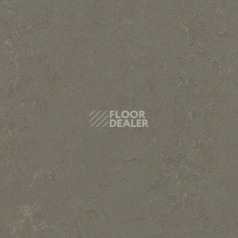 Линолеум Forbo Marmoleum Solid Concrete 3723-372335 nebula фото 1 | FLOORDEALER