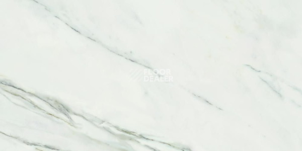 Керамогранит Calacatta Superwhite  60*120 Calacatta Superwhite 60x120 фото 1 | FLOORDEALER