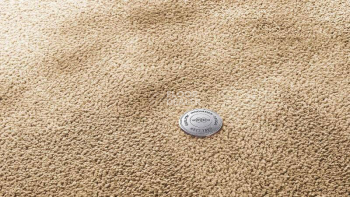 Ковролин Vorwerk Superior 1067 Mira Vorwerk 8k08 фото 1 | FLOORDEALER