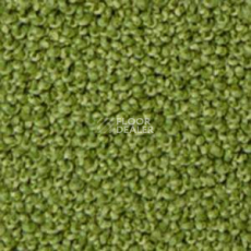 Ковролин Infloor Campino 440 фото 1 | FLOORDEALER