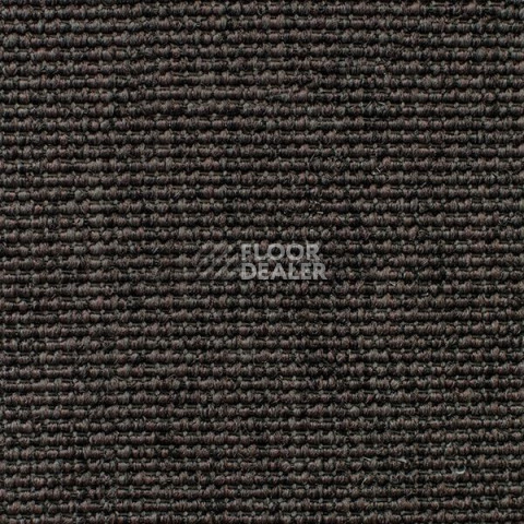 Ковролин Carpet Concept Eco Iqu 60237 фото 1 | FLOORDEALER