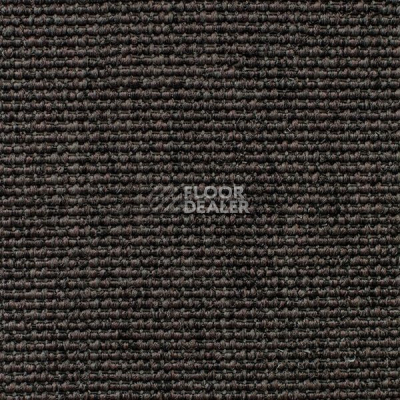 Ковролин Carpet Concept Eco Iqu 60237 фото 1 | FLOORDEALER