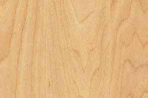 Линолеум Gerflor Taraflex Surface Wood 6381_Maple_design фото  | FLOORDEALER