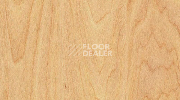 Линолеум Gerflor Taraflex Surface Wood 6381_Maple_design фото 1 | FLOORDEALER