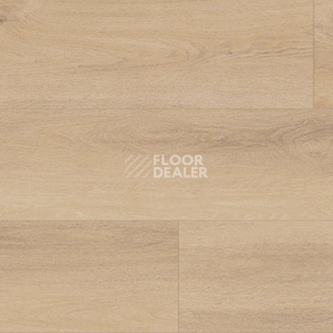 Ламинат Kronotex Exquisit Plus d80242 Дуб Аванто Бежевый фото 1 | FLOORDEALER
